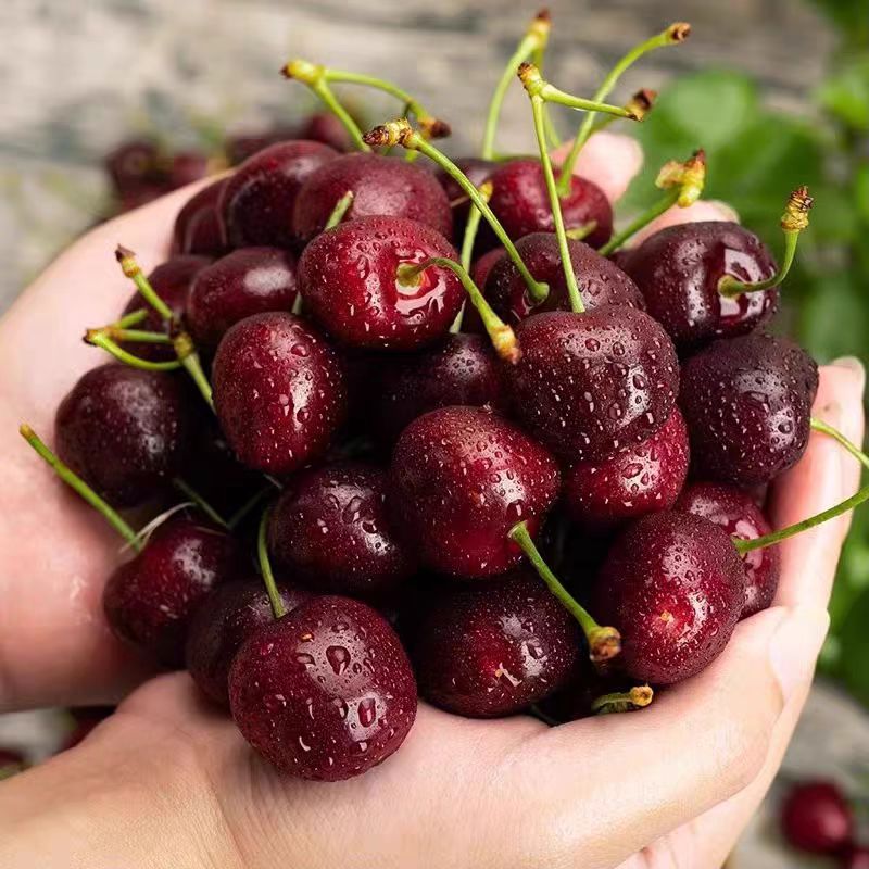 【阿班果业松北仓】3JD车厘子智利进口精品车厘子，脆嫩爽口，汁水饱满，营养丰富2- 5斤装顺丰京东包邮