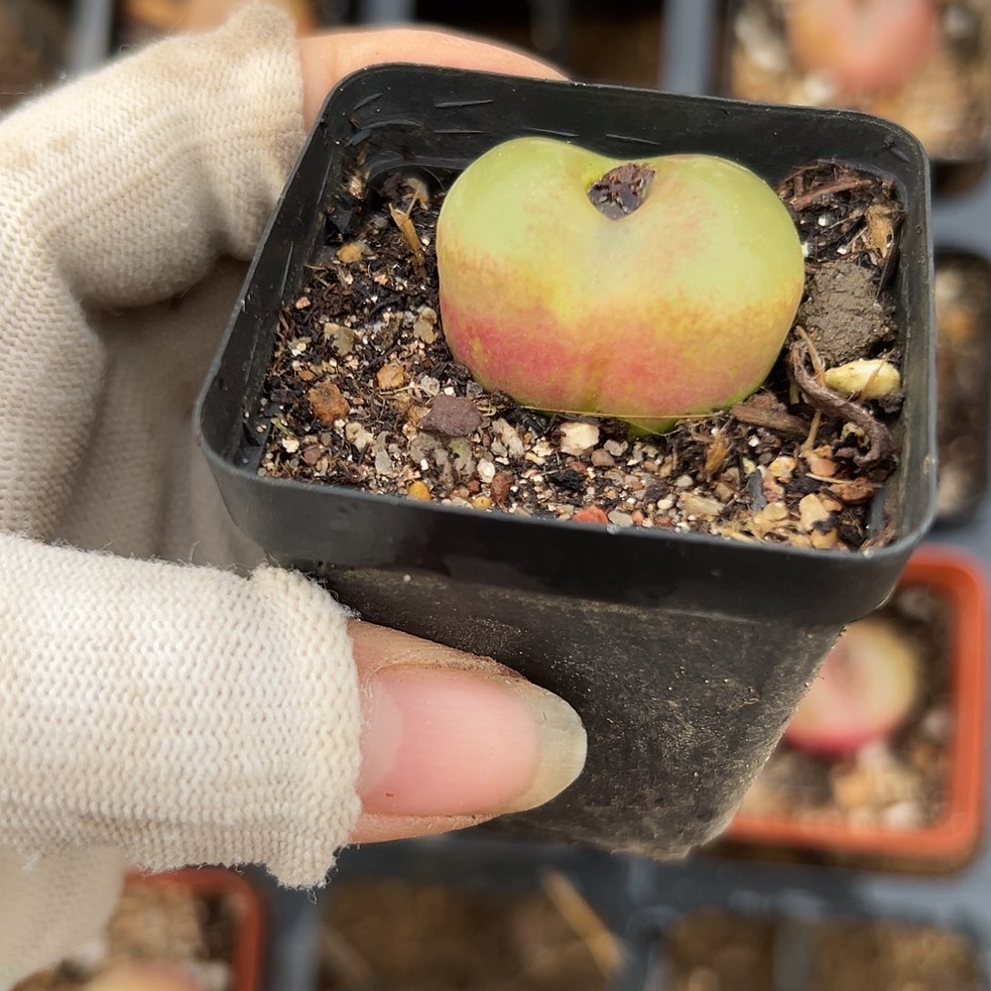 饿了呃呃呃呃呃呃呃呃呃呃