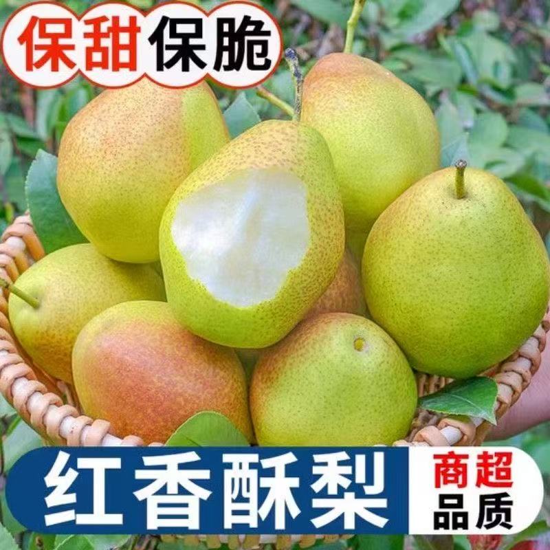 红香酥梨梨子新鲜水果当应季整箱脆甜爆汁香梨包邮应季