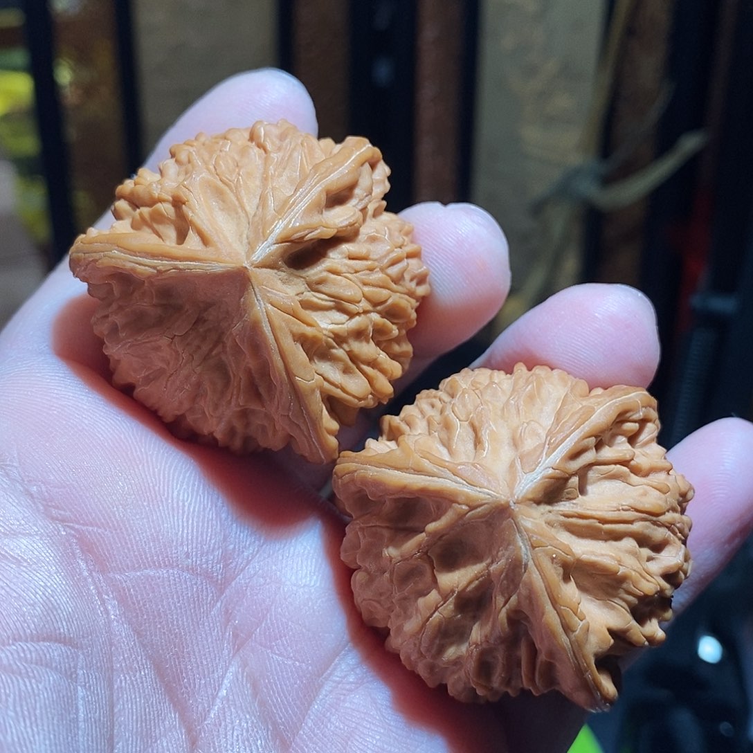 文玩核桃把件45文山三棱全品