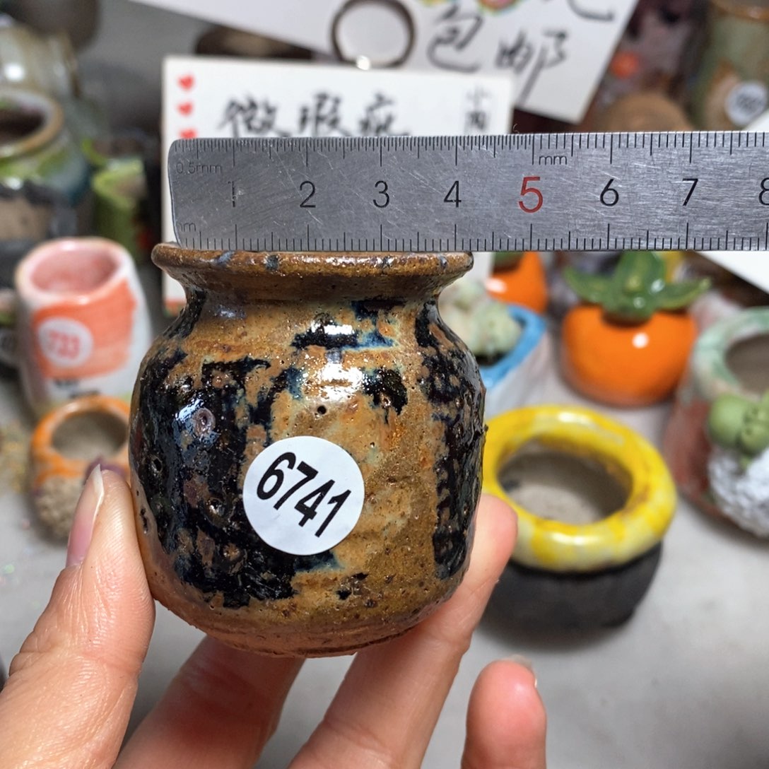 拍5送一个小礼物＇花盆