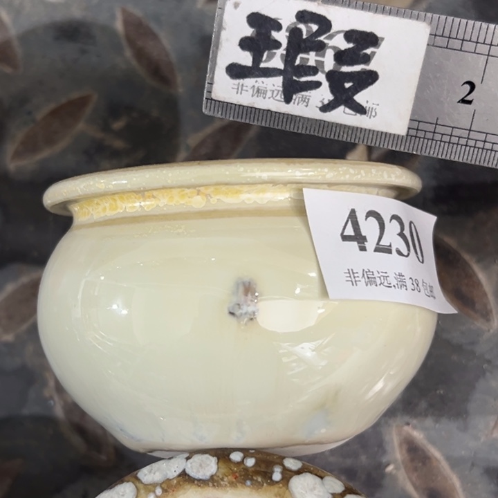 口6高6 ……活动价满30包邮