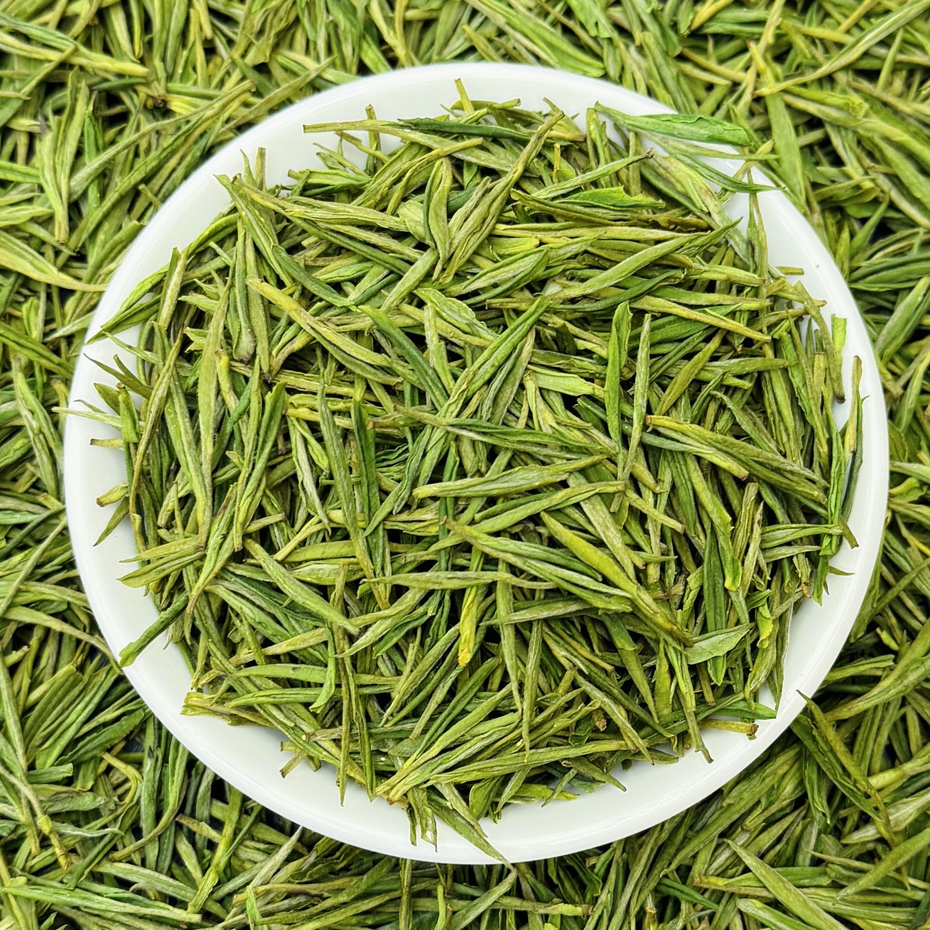 龍6号【溪龙】龍福定制安白产地白茶2025年新茶绿茶叶明前头采春茶