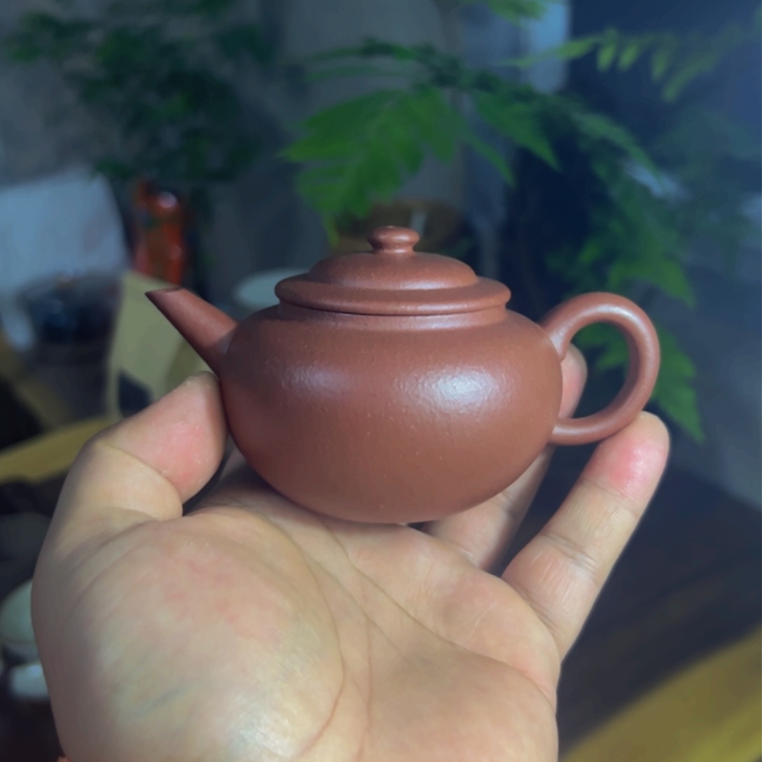 紫砂茶壶红皮龙水平130cc