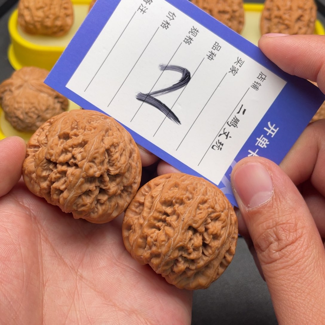 文玩核桃把件大粗筋42