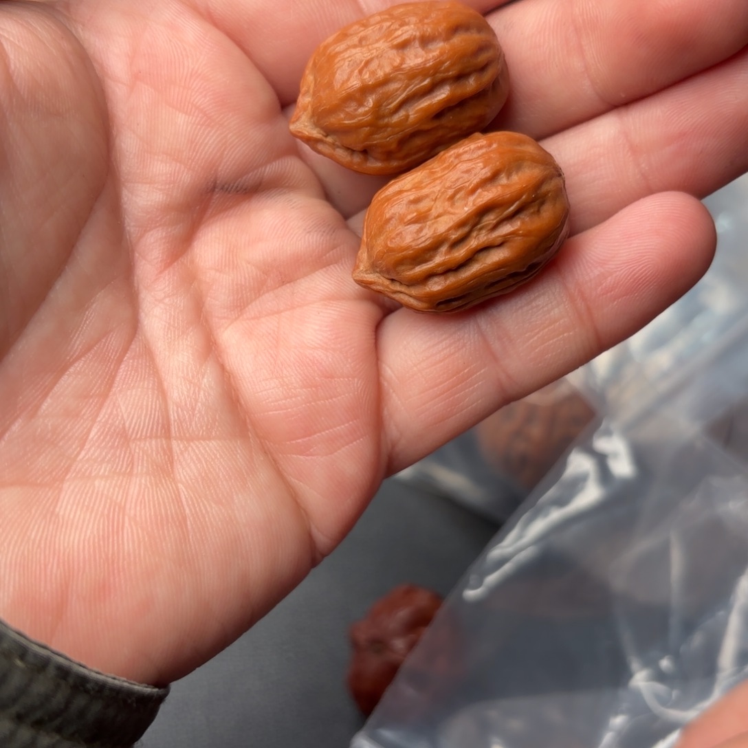 听***落把件文玩核桃69000000