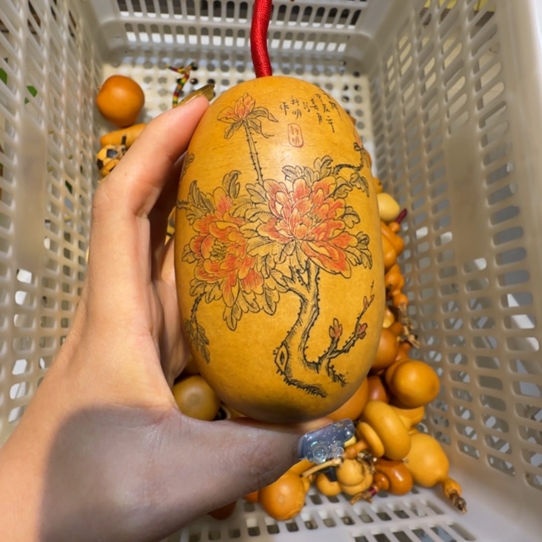 无***宝，哈哈哈国家机关哈哈哈哈
