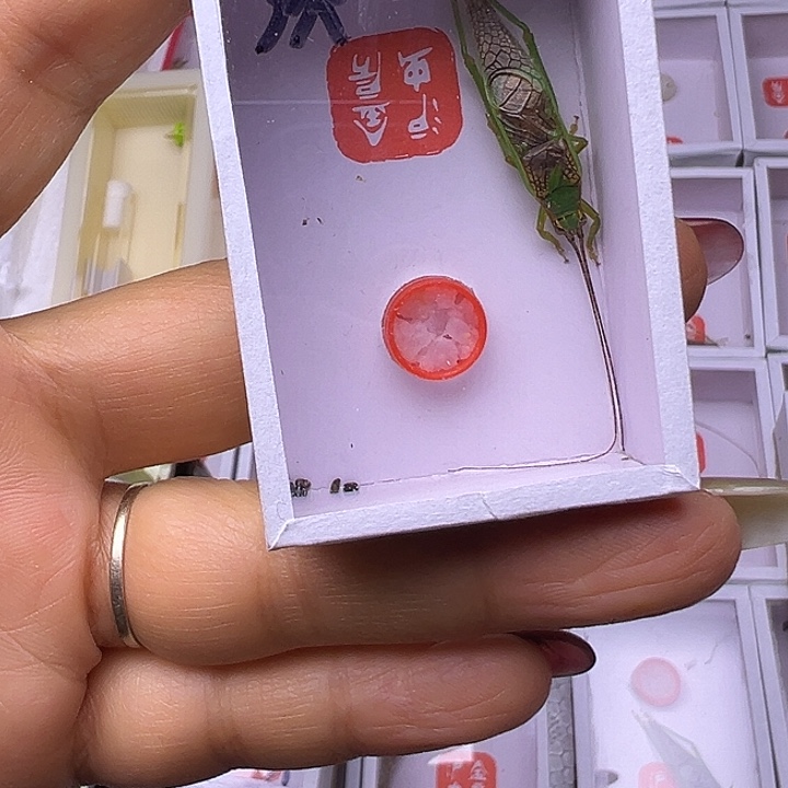 一***阳哈哈哈哈哈哈哈哈哈哈哈哈哈哈