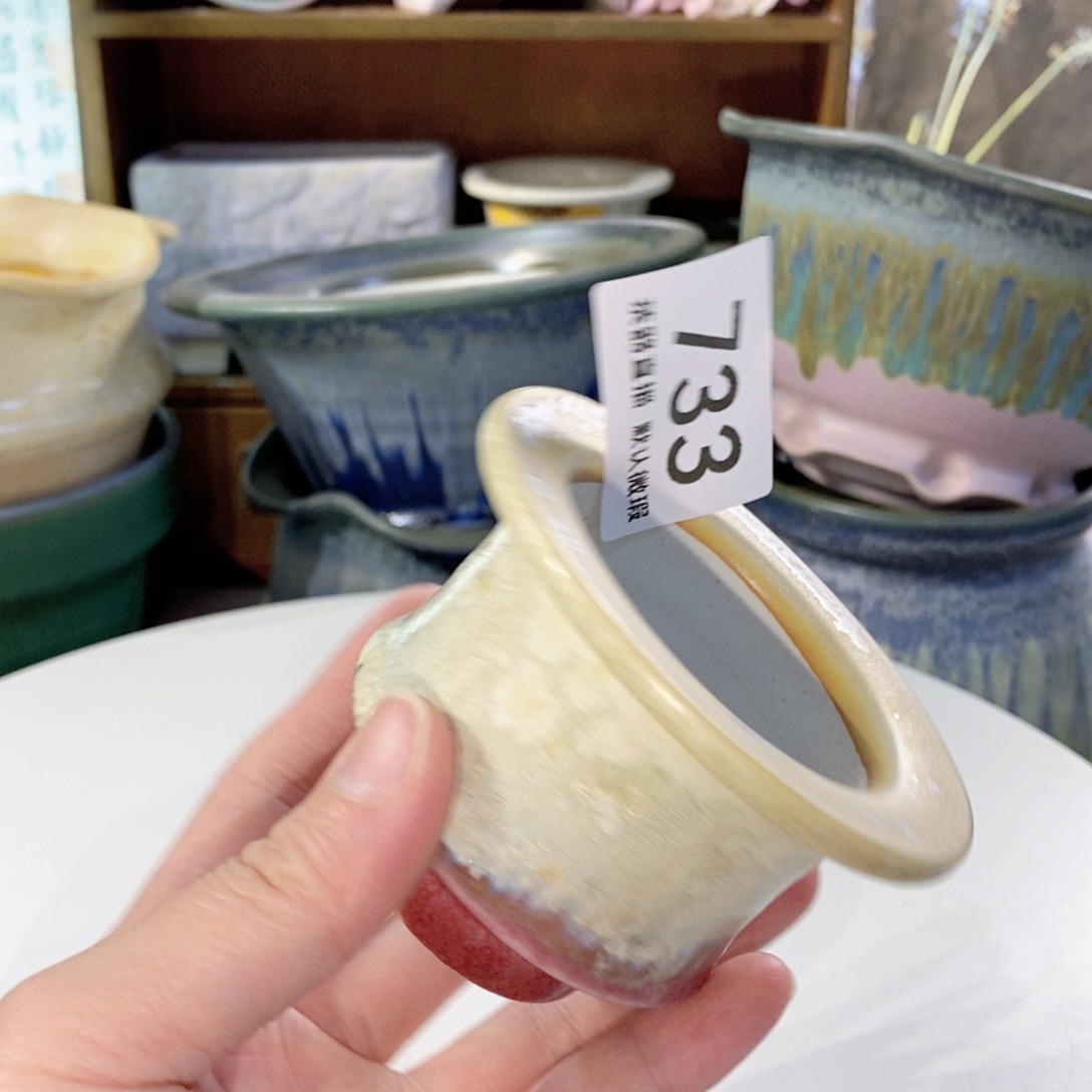 花盆花盆花盆花盆