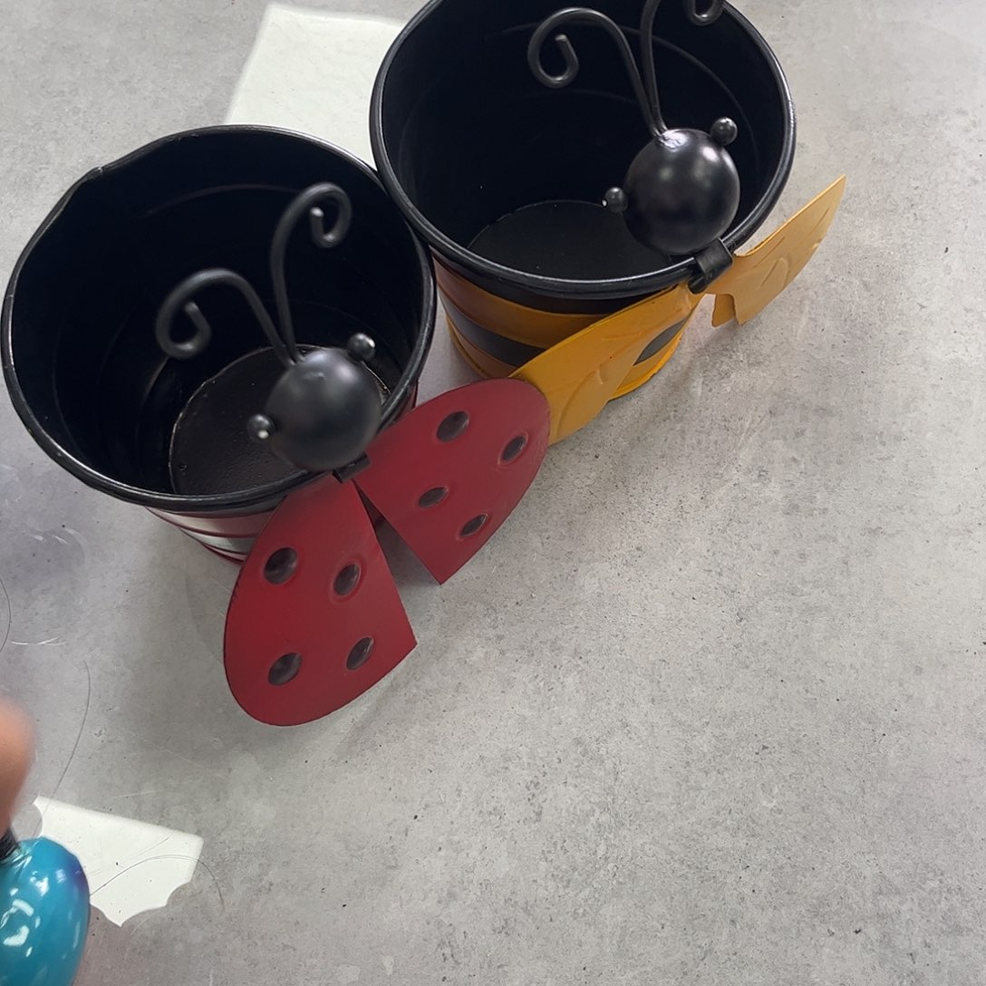 孤品给力哈哈哈哈哈