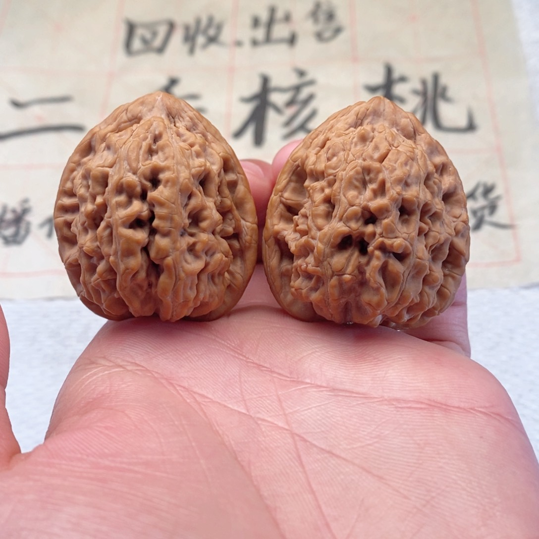 文玩核桃把件粗筋蚂蚁王