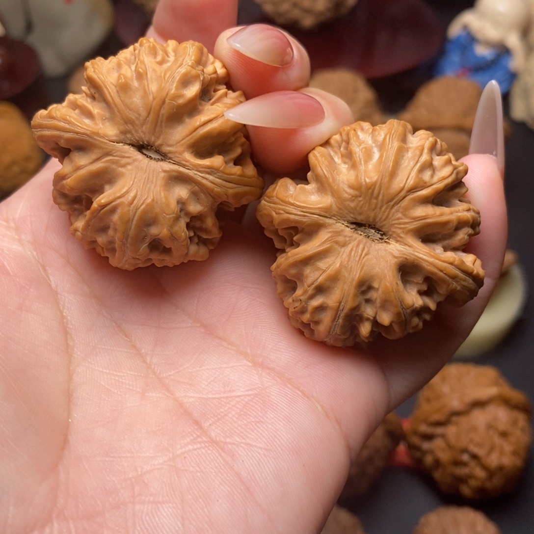 文玩核桃把件全品野盘龙39.5