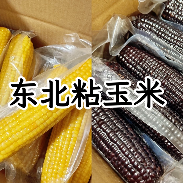 东北黑黄糯玉米真空包装低脂粗粮代餐