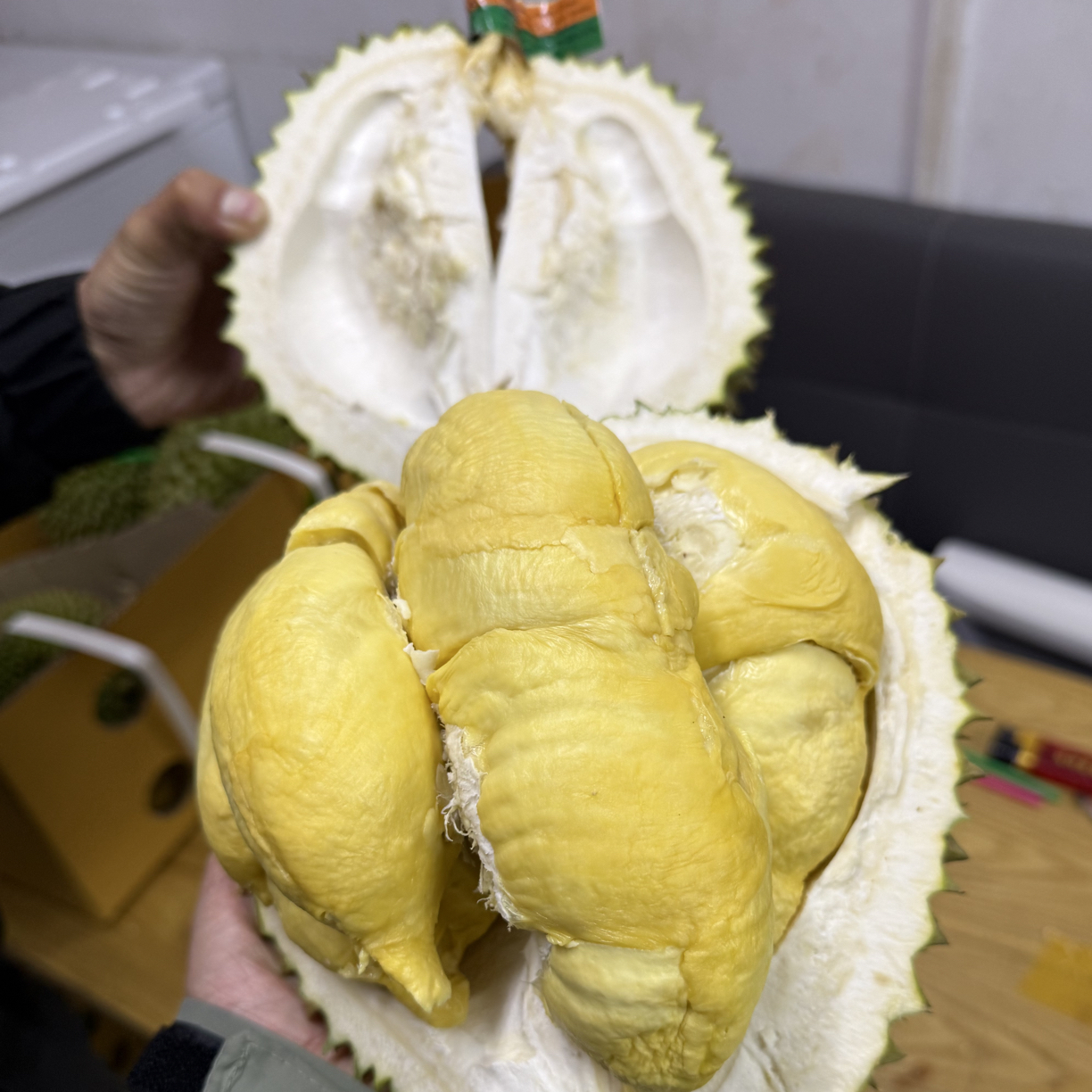 泰子鲜泰国长柄干尧