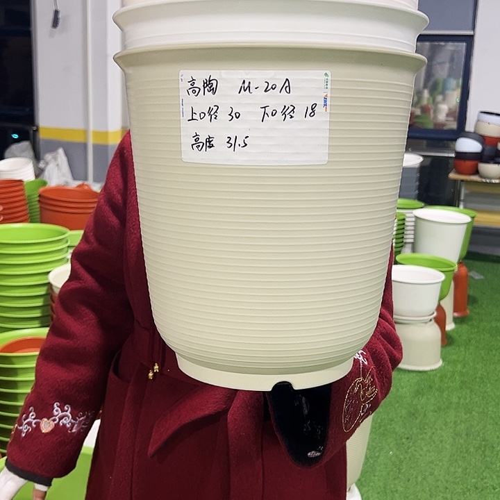 正品高陶口30高31白色3只无托