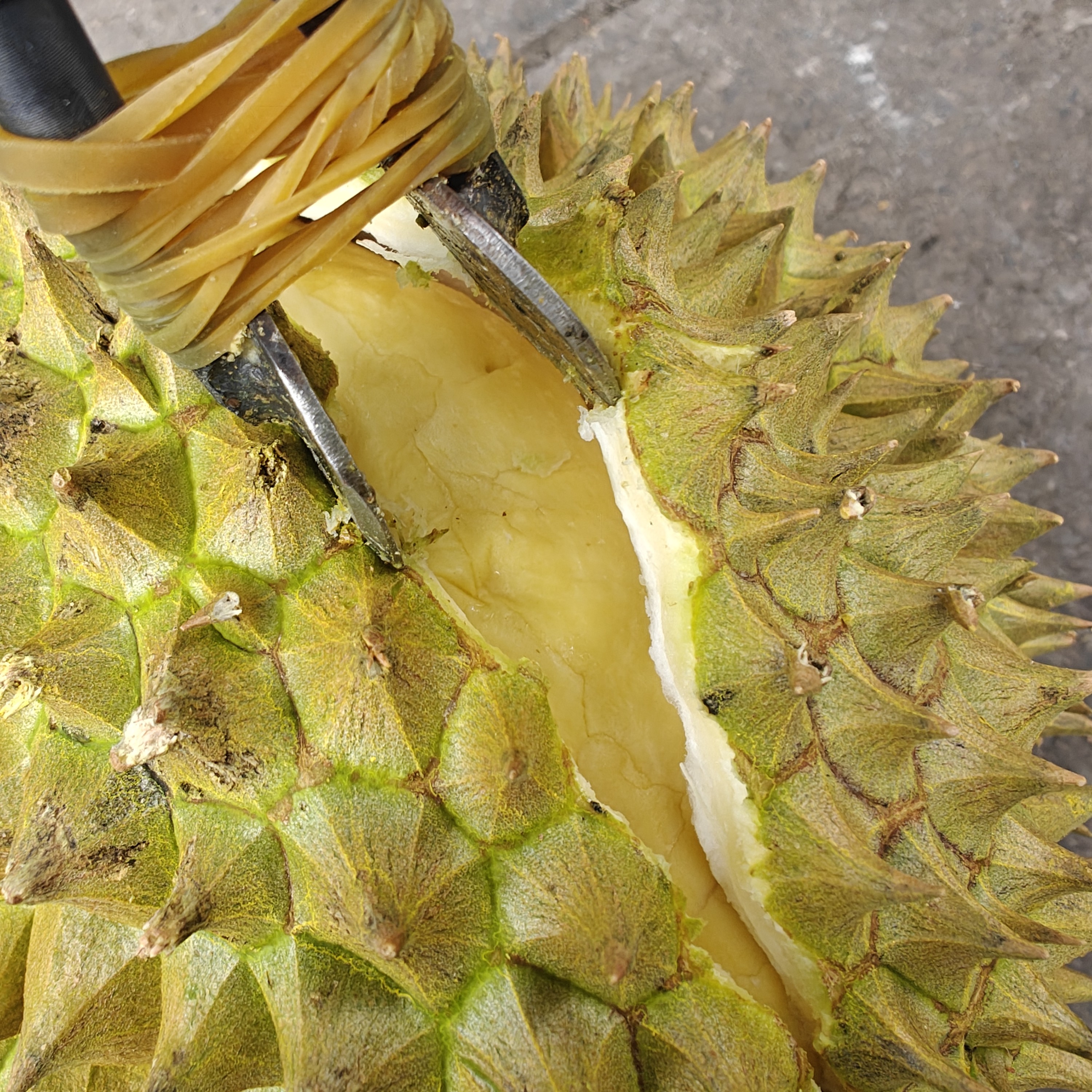 金枕榴莲果皮勿拍