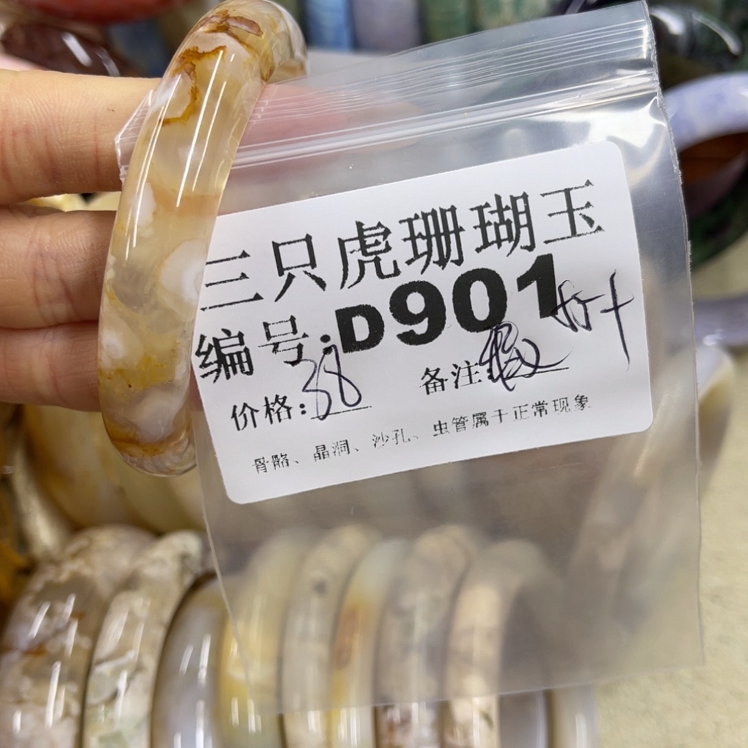 无***念硅化珊瑚（珊瑚玉）未镶嵌h