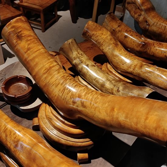 小叶桢楠金丝楠木横财