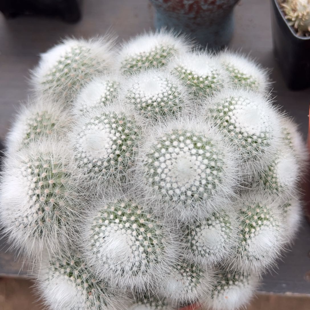 快***岁零零落落 零零落落