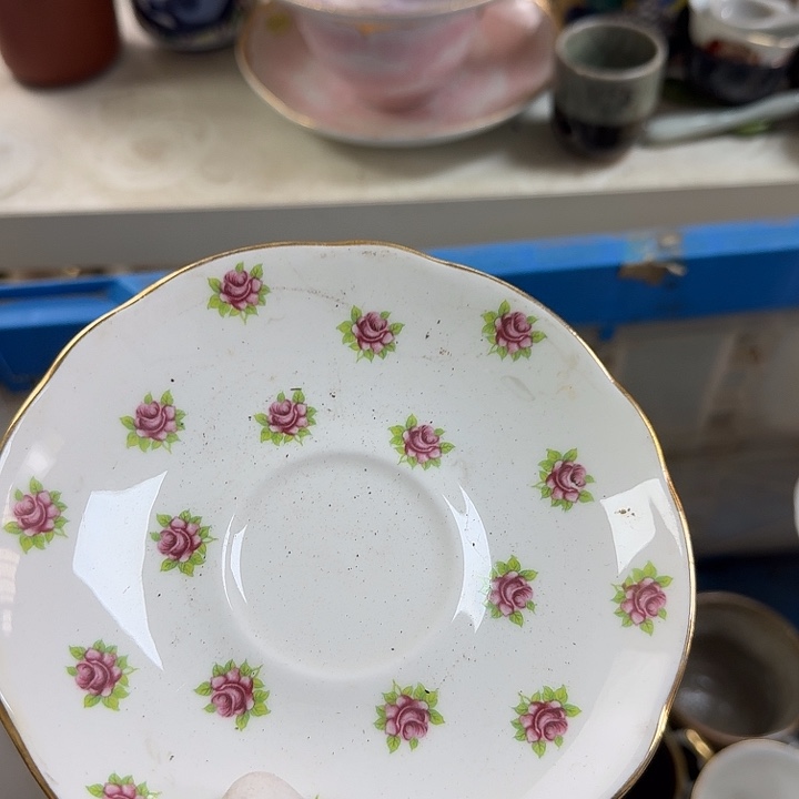 碟开播啦…开播啦