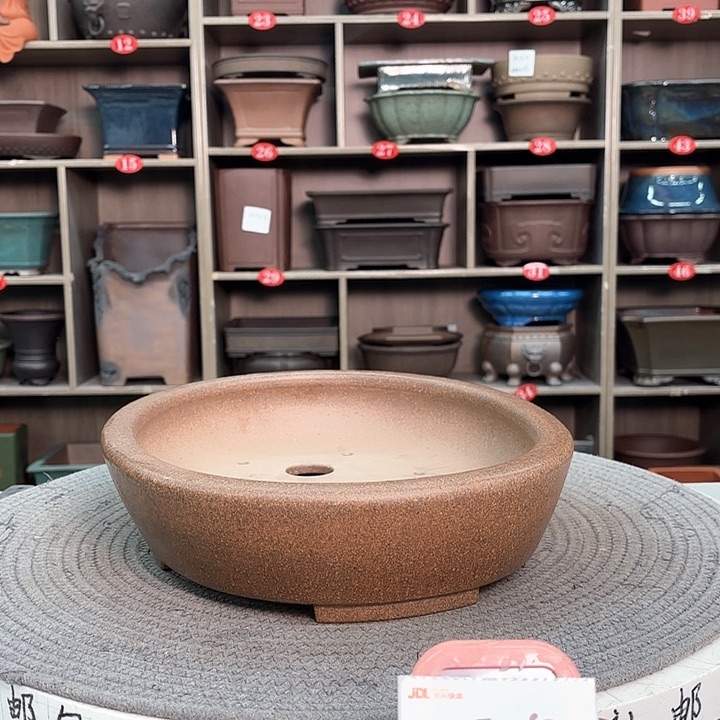 紫砂花盆小*子紫砂的花也太美