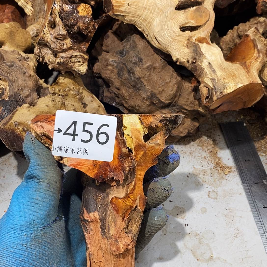 香榧木懒*火琉璃……火琉璃