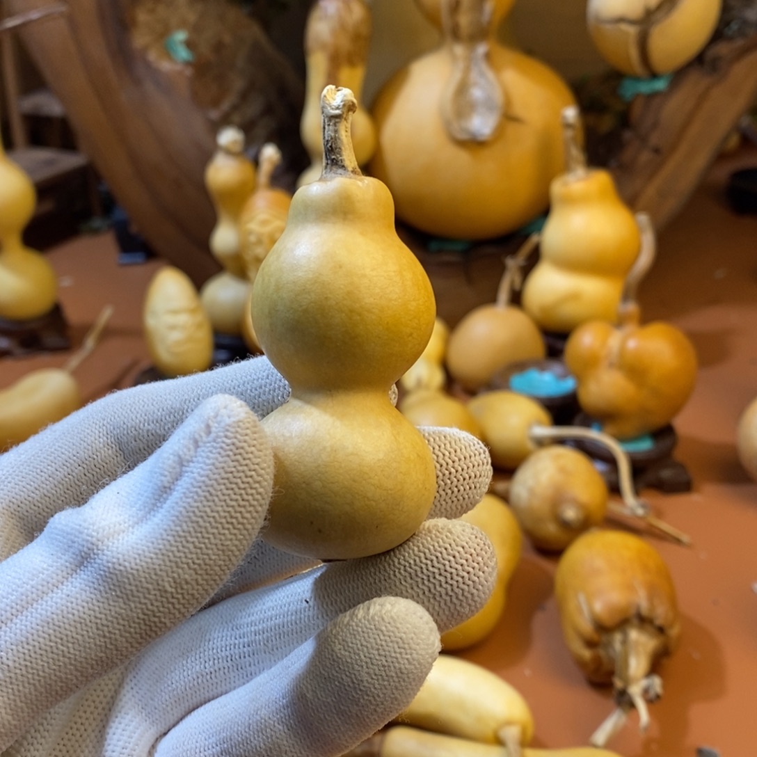 ****x教练来咯哦哦哦哦你