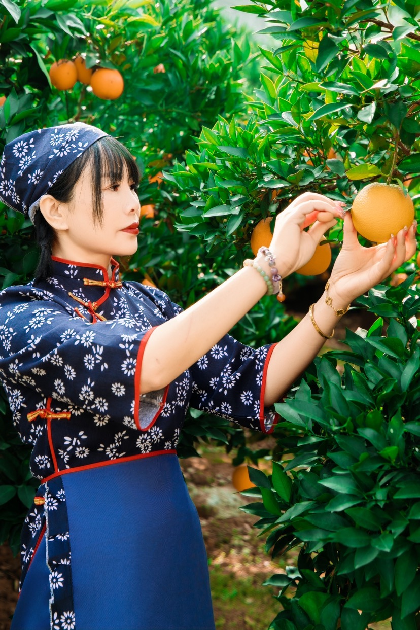 屈原故里秭归长江脐橙三峡云雾的黄金之果