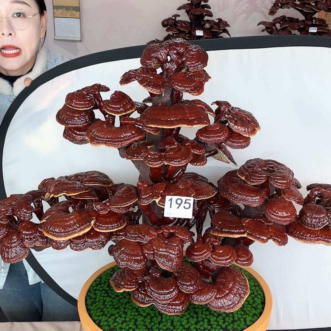 万事如意888888195