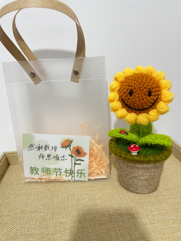 教师节礼物手工编织笑脸向日葵麻绳盆栽成品