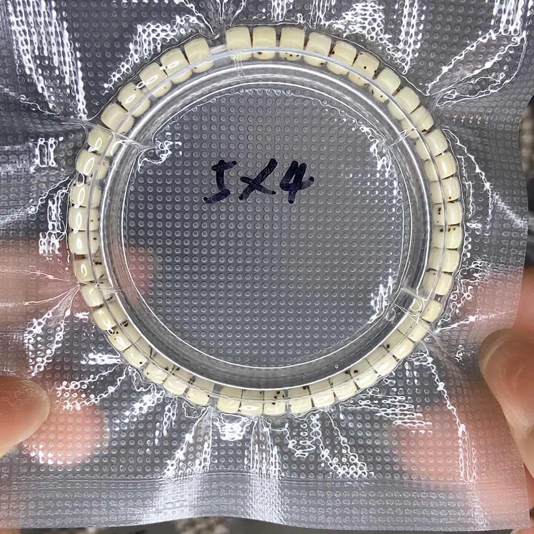 星月菩提手串星月