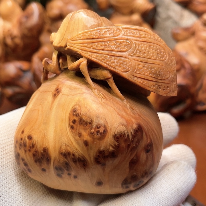 柏木太行崖柏金蝉