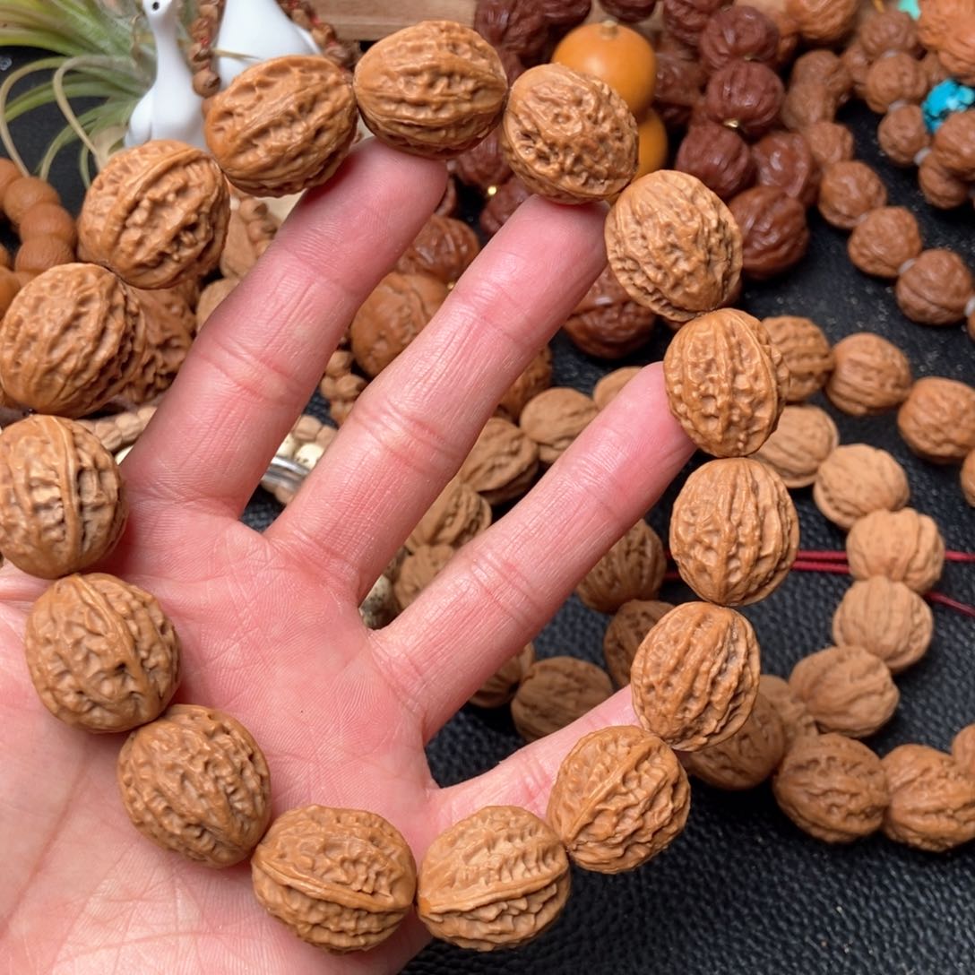 野生小秋子京八楞流水纹