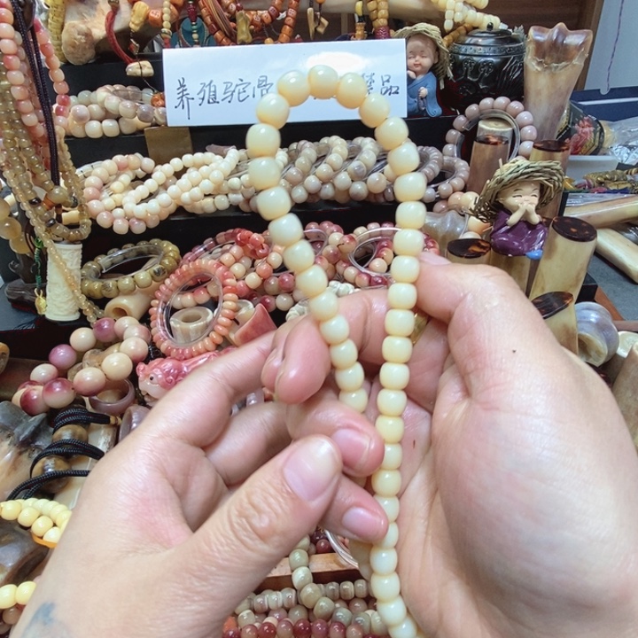 ****೨驼骨手串/手链驼骨