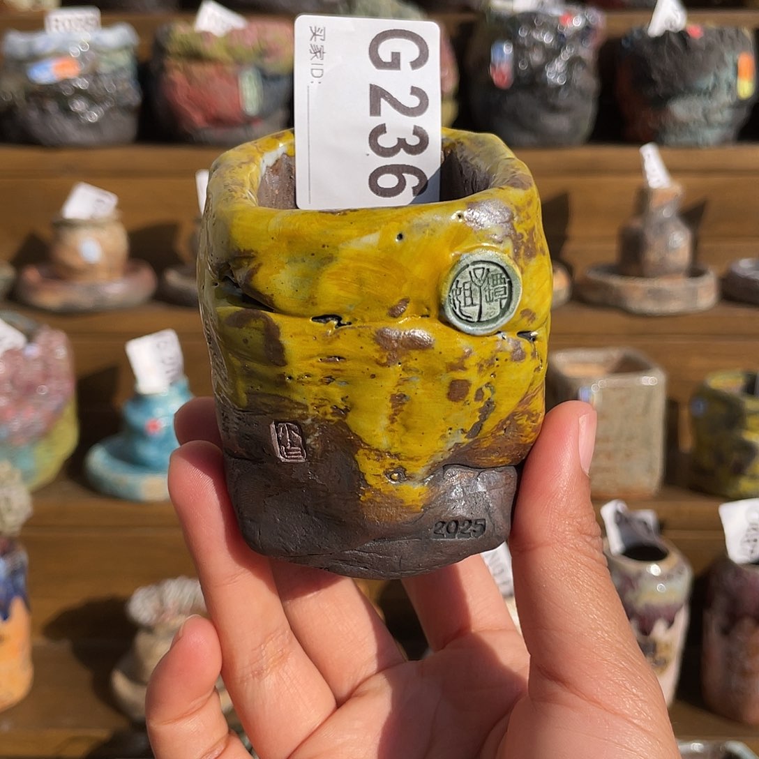 坛子姐花盆 小白孤品  高方内口4.3