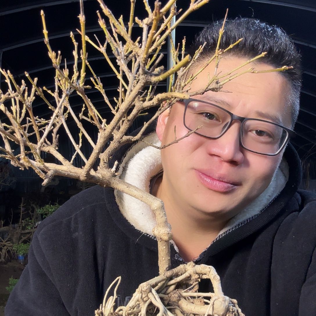 心***宽当前无花朵，栽培后可花朵