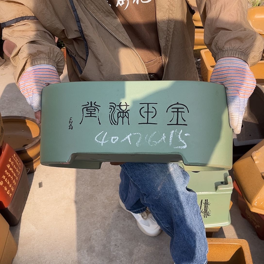 紫砂花盆盆景艺术
