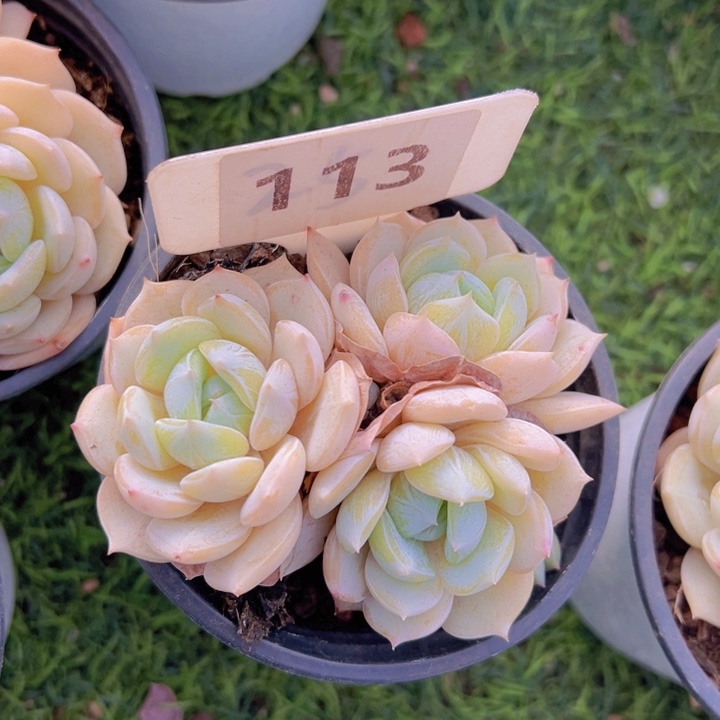 健健康康平平安安