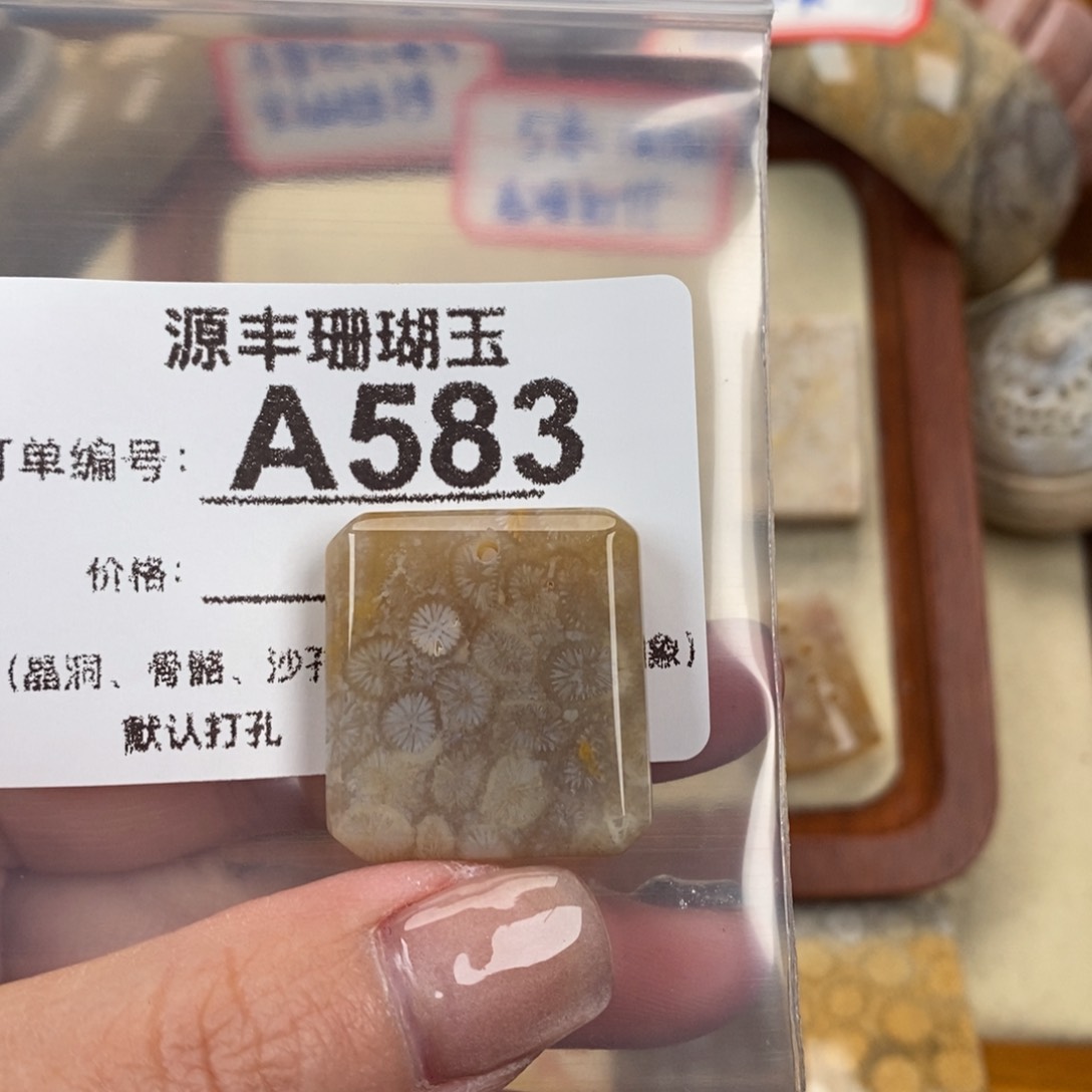 硅化玉颈饰未镶嵌芊*@