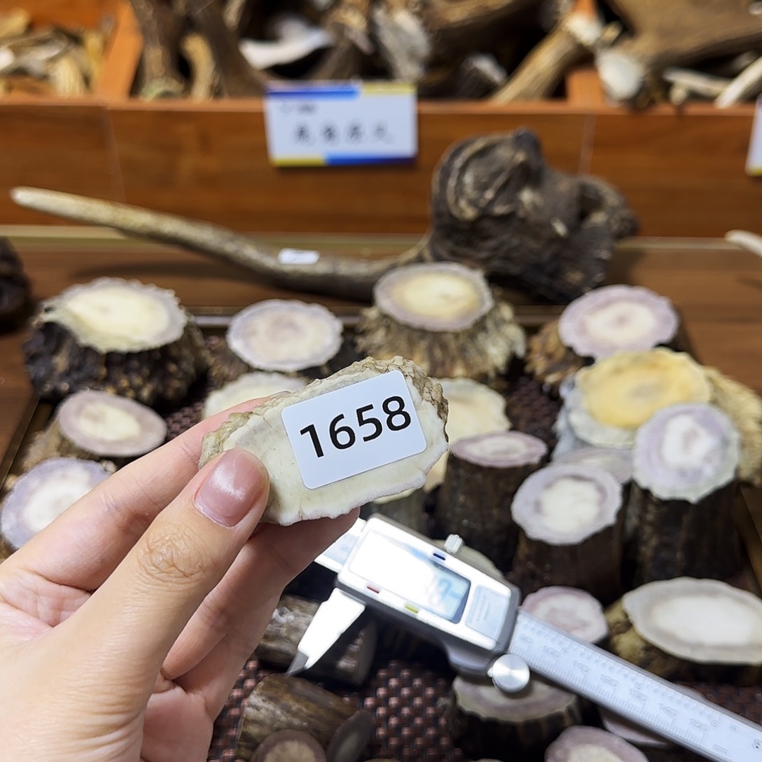 手串/手链鹿骨1658 片