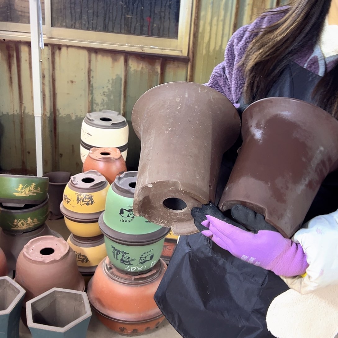 18+18素面兰花盆花盆花盆