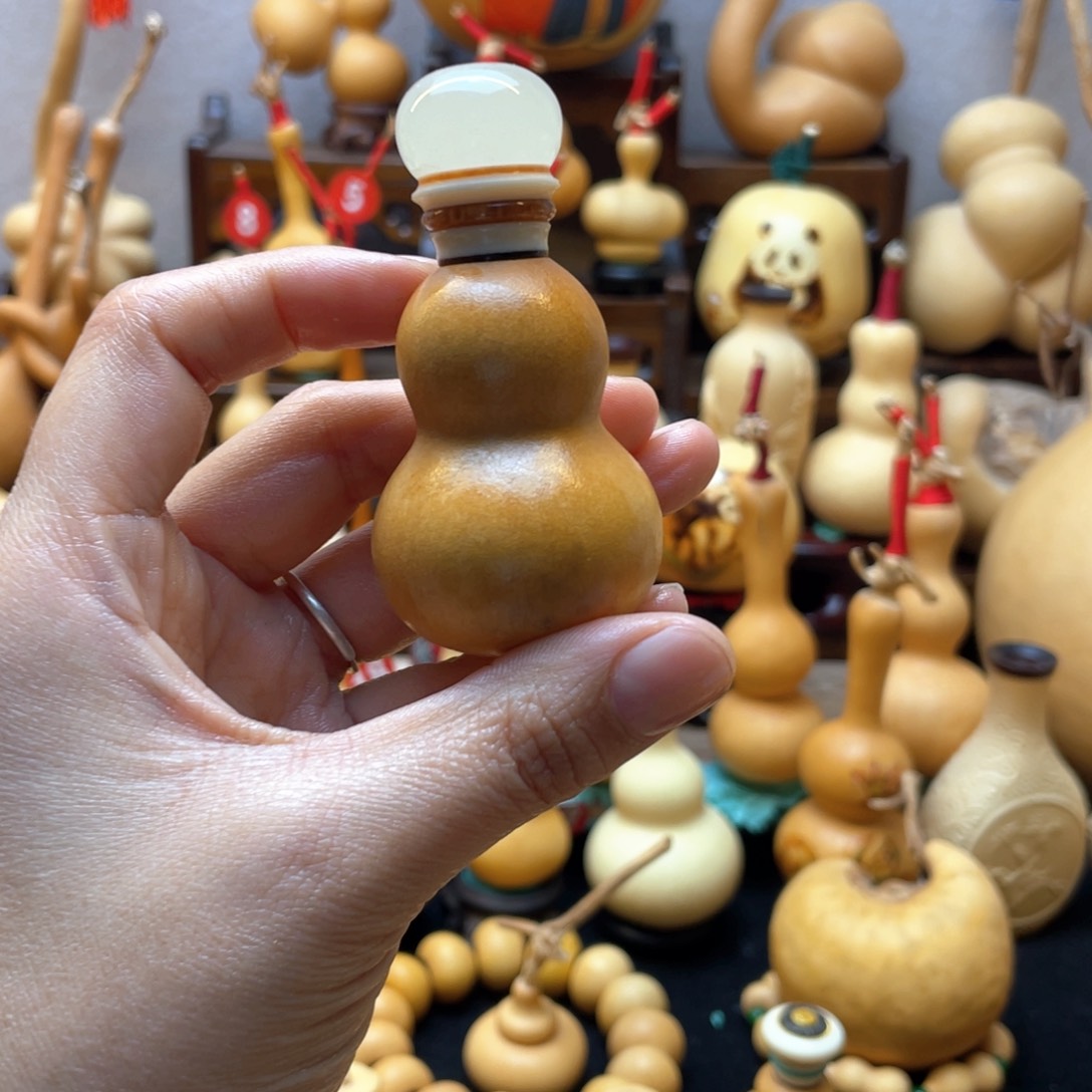 Y****。大自然的秘密第十一节你要