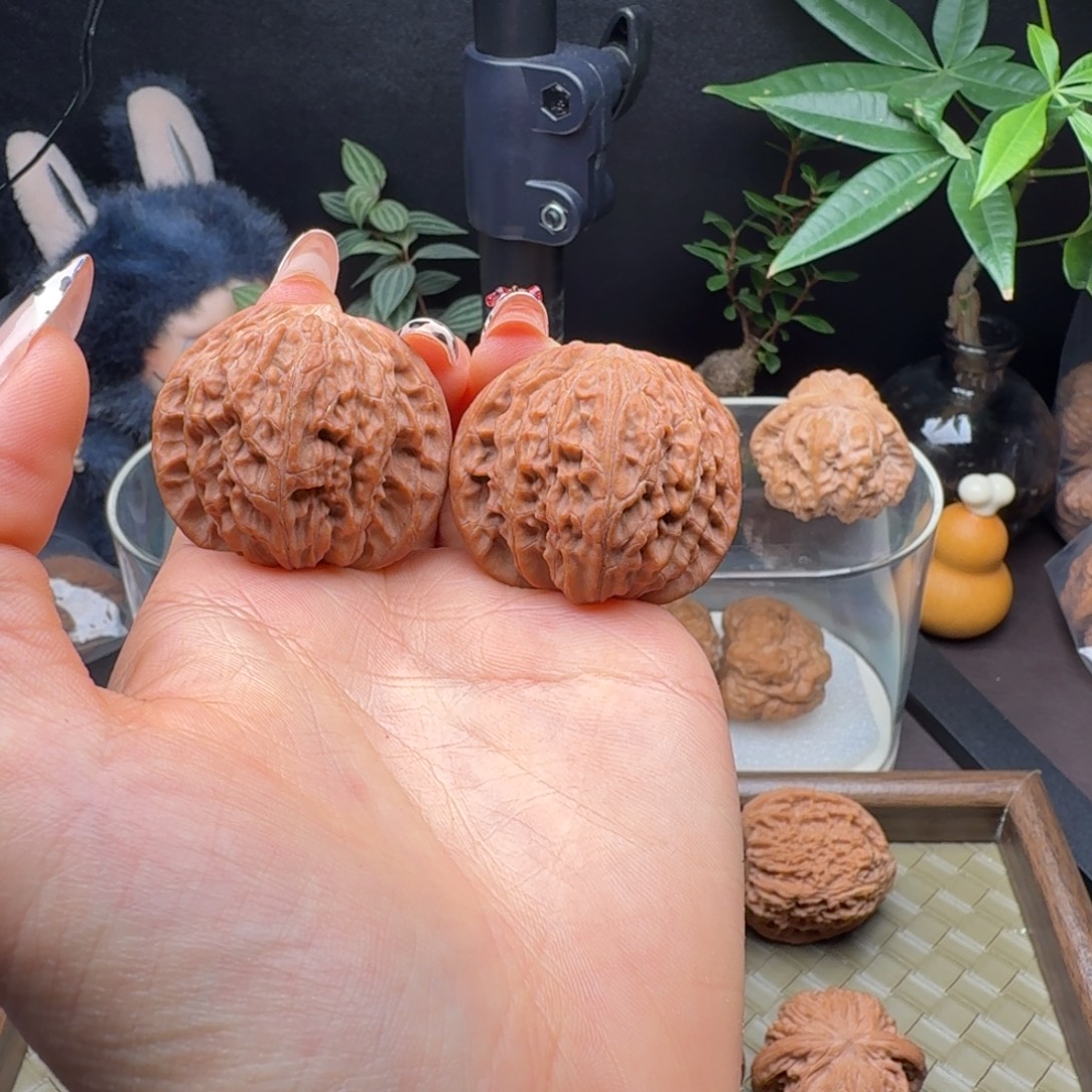 龙脊菩提把件全品血磨40