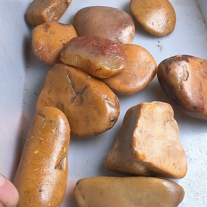 老挝石小**吖老挝石素质