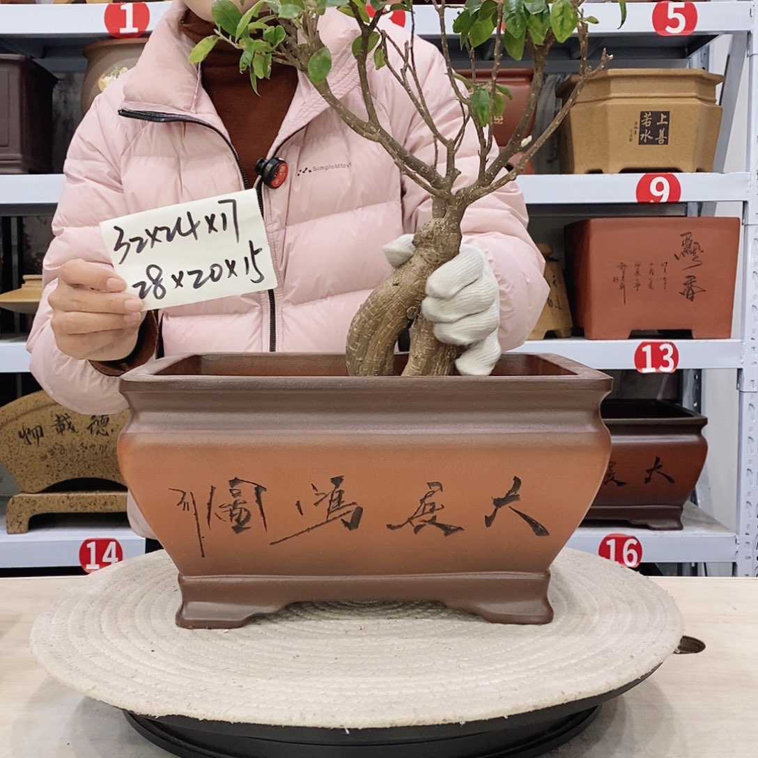 紫砂花盆紫砂花盆