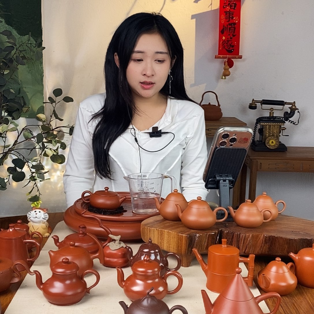 芙****料潮州手拉壶广源壶