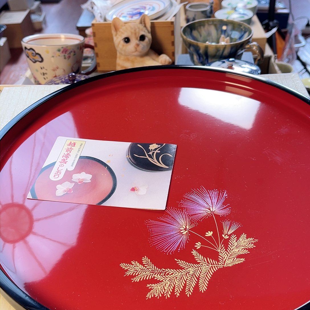 瓷片2****0309啦啦啦啦啦啦啦