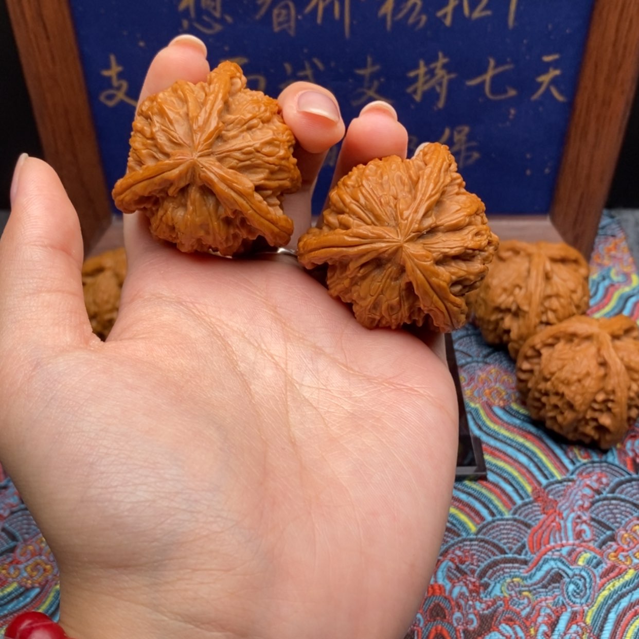 【闪购商品】一****@白狮