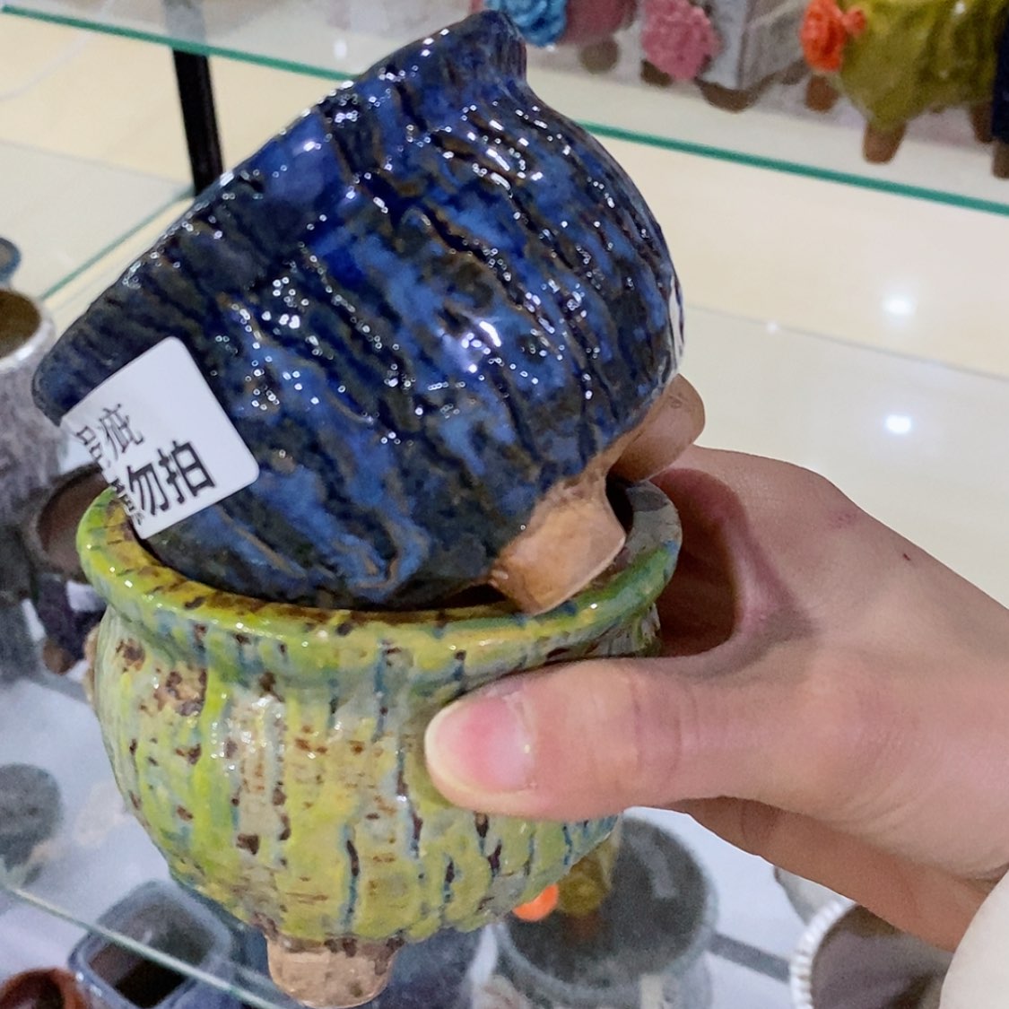 【闪购商品】红陶福利