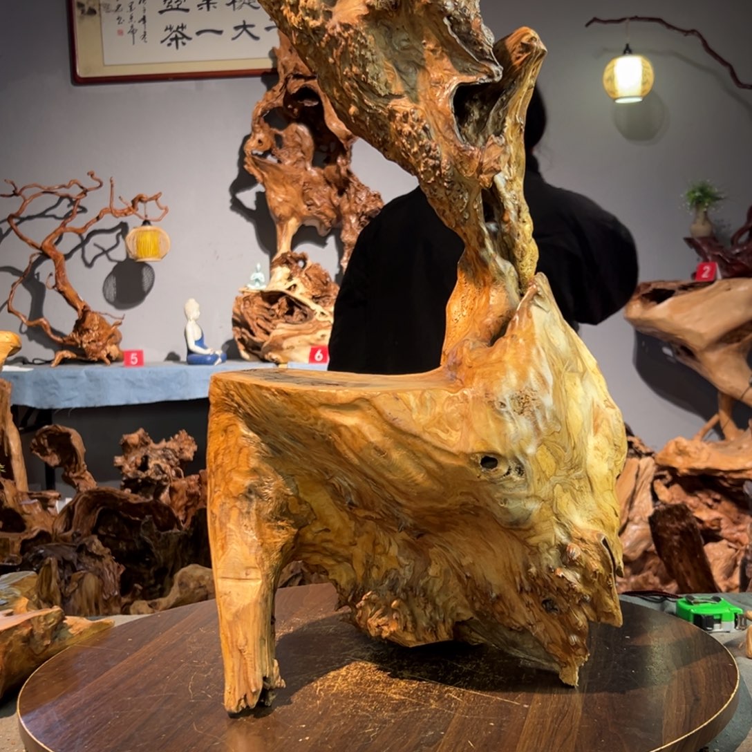 郑***荣香杉木762aaaaaaaaaaa